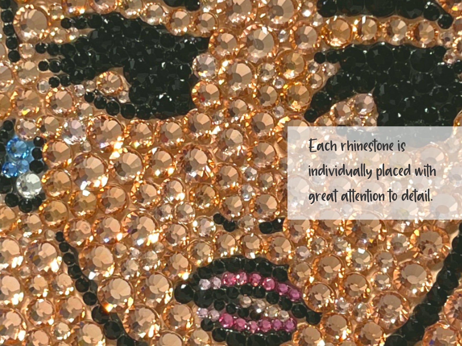 Cinderella Bling Phone Case
